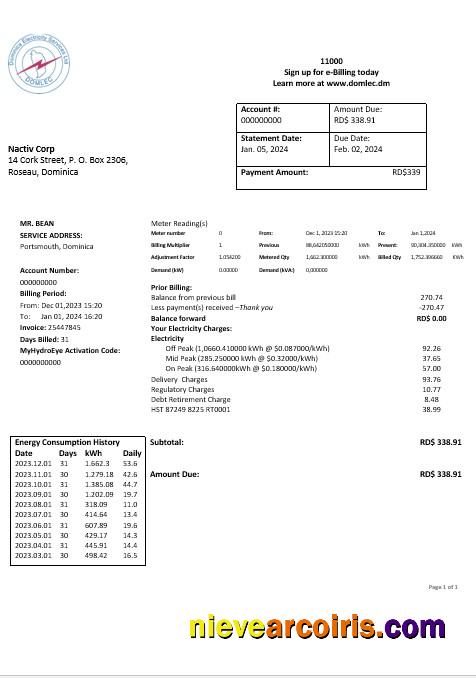 Dominica Electricity Services Limited electricity business utility bill